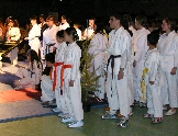 Una exhibici&oacute;n del deporte japon&eacute;s
