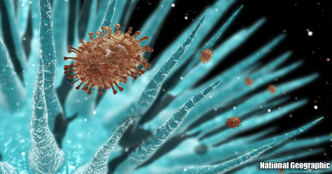 Una imagen real del virus de la gripe en el momento de la infección