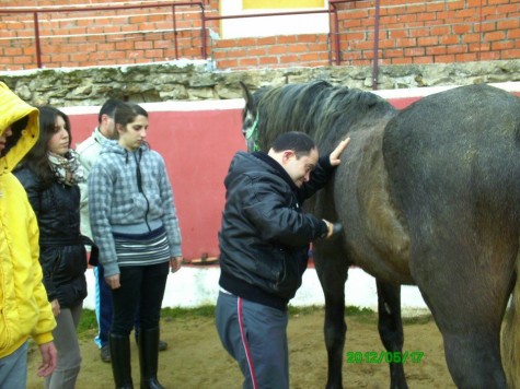 Sesión de equino terapia. Foto Ecus Guijuelo
