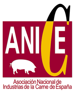 Logo Anice