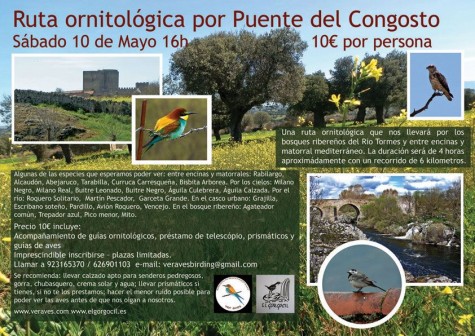 Ruta Ornitológica en Puente del Congosto