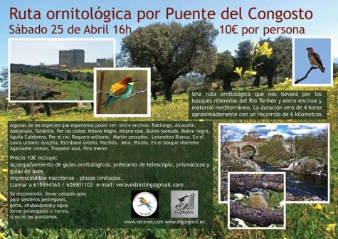 25 abril RUTA ORNITOLOGICA puente congosto