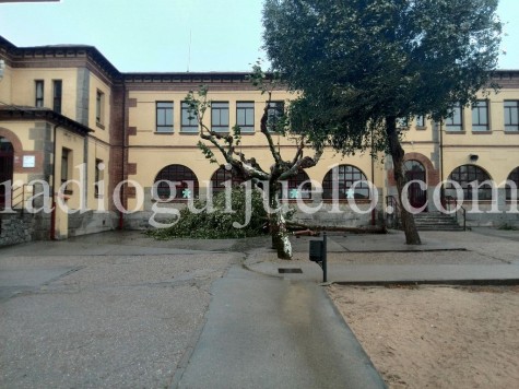 Patio del Colegio Filiberto Villalobos.