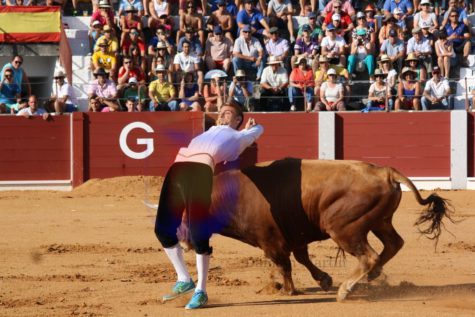 Concurso de recortes en Guijuelo