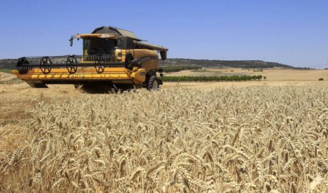 Campo. Foto nortedecastilla