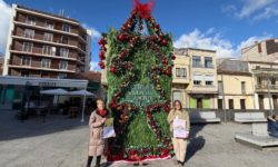 Guijuelo premia la decoración navideña de balcones y escaparates