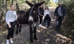 Los estudiantes del proyecto Eramus + llegan a Guijuelo y Comarca