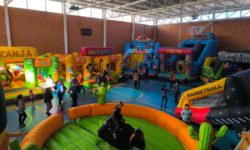 Desde este martes, Guijuelodiver en el pabellón del Miguel de Cervantes