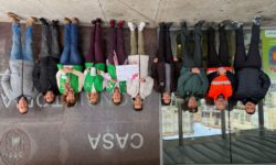 Guijuelo solidario con la AECC recauda alrededor de 300€