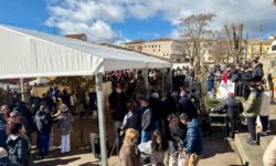 La plaza de Castilla y León se llena para disfrutar de la Matanza de Carnaval