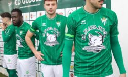 Brazalete verde en los jugadores del C.D. Guijuelo